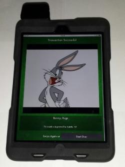 iPad Mini