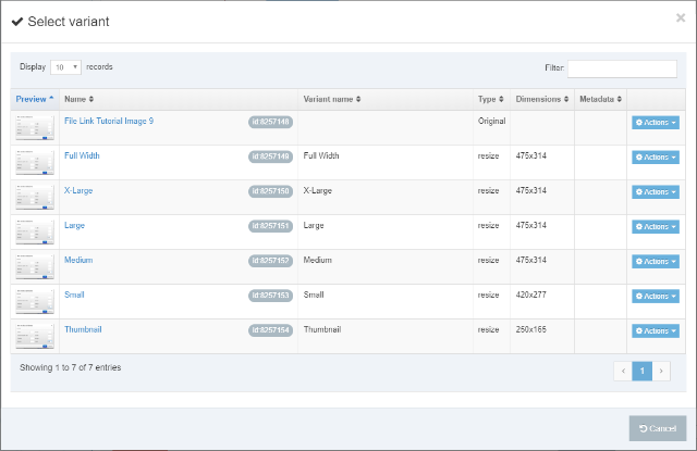 File Link Tutorial Image 8 - Screenshot of a “Select variant” window showing image options. List includes variants such as Full Width, X-Large, Large, Medium, Small, and Thumbnail. Columns display preview, name, variant type, dimensions, and actions. Each row includes an “Actions” dropdown for selecting or managing variants.
