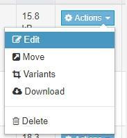 Actions  Edit Menu in T4 Content Manager