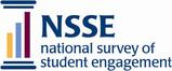 NSSE Logo