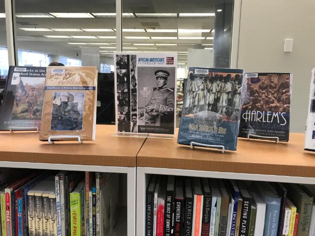Books about African-American soldiers