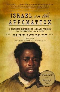 Book Cover for Israel on the Appomattox
