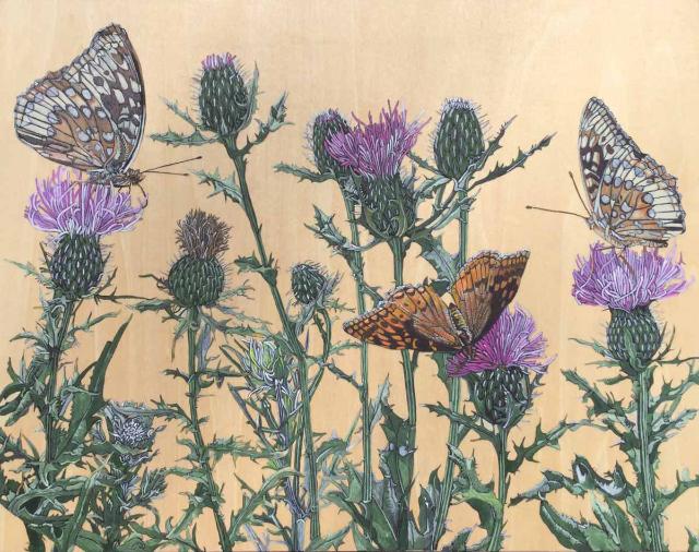 Butterflies and flowers