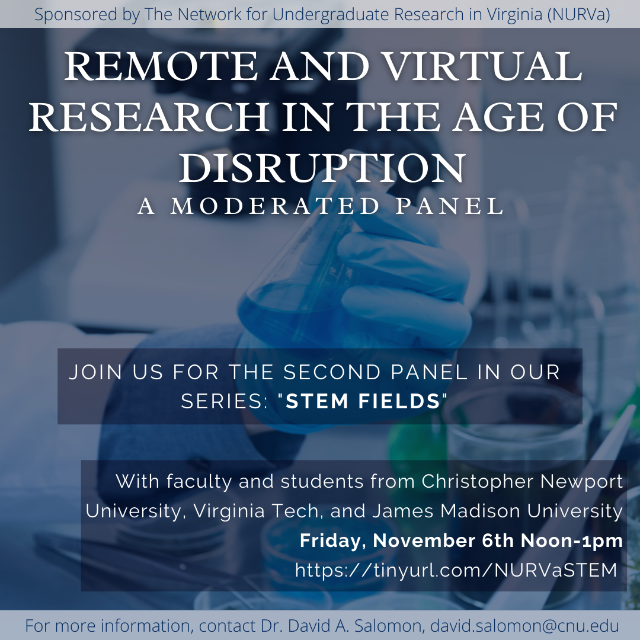 Graphic promoting a virtual panel on research in STEM fields. Headline reads “Remote and Virtual Research in the Age of Disruption.” Includes event details: Friday, November 6th, noon to 1 pm with participating universities.