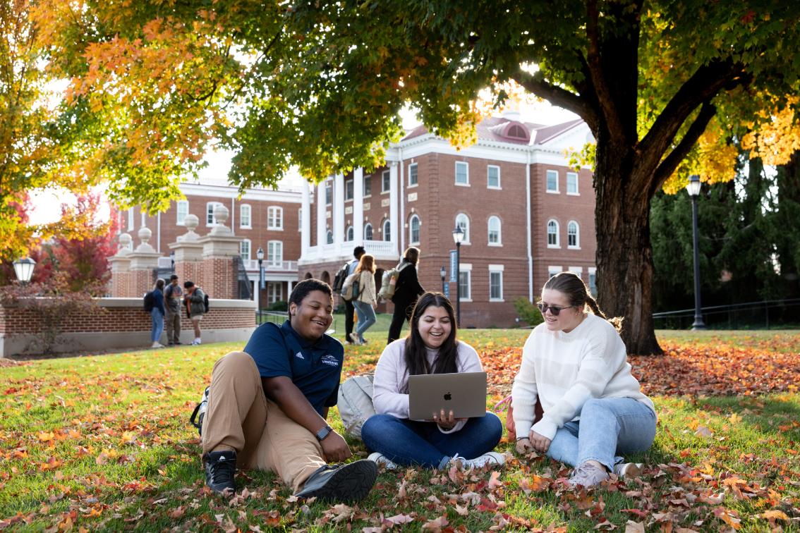 Students studying under a tree - Three students sit on a lawn using a laptop together on Longwood’s campus. Colorful fall leaves cover the grass beneath a large tree. Other students walk nearby in front of a red-brick academic building. Autumn sunlight filters through the trees across the campus scene.